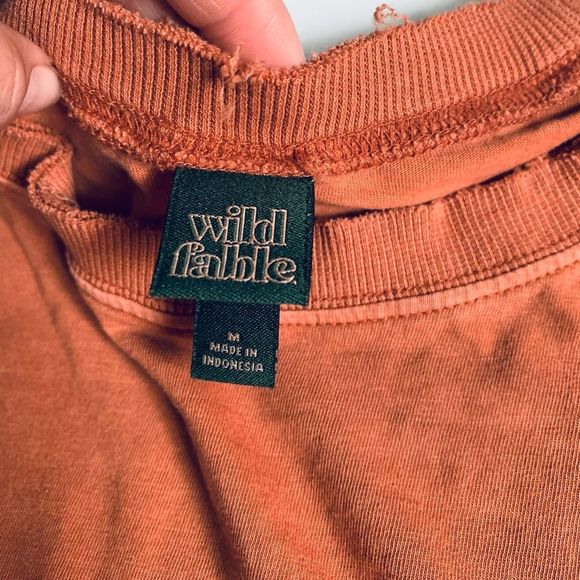 Wild Fable burnt rust orange raw hem boxy semi cropped cotton t shirt - Picture 3 of 6